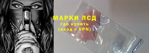 сатива Арсеньев