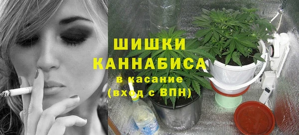 дмт Бронницы