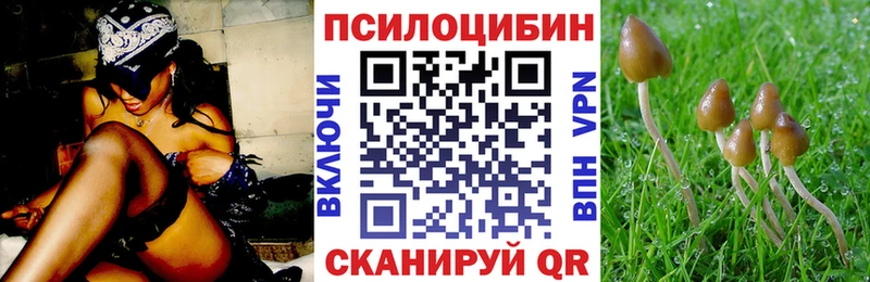 Галлюциногенные грибы мицелий Валдай